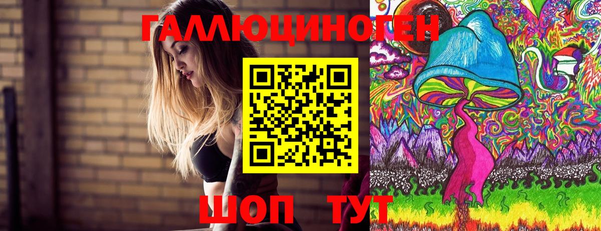Псилоцибиновые грибы Psilocybe  Вход с VPN  Улан-Удэ 