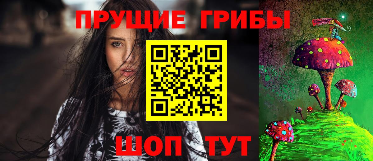 Псилоцибиновые грибы Psilocybine cubensis Улан-Удэ